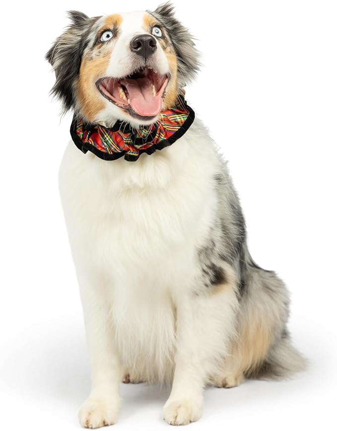 Huxley & Kent Ruff Pet Scrunchy | Shiny Christmas Plaid (Large) | Festive Christmas/Holiday Neckwear for Dogs/Cats | Fun Stretchable Costume Accessory | Soft Collar with Bells