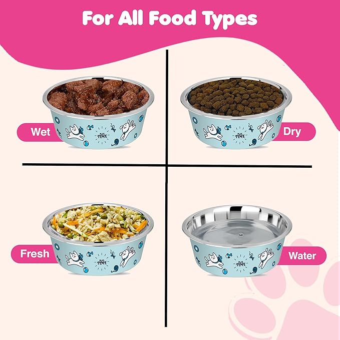 Stainless Steel Dog Bowls | Cat Bowls (Set of 2) - Anti Skid Dog Water Bowl | Cat Water Bowl - Dishwasher Safe - 13oz / 400ml – 12.3cm (Pale Turquoise Playtime Print)