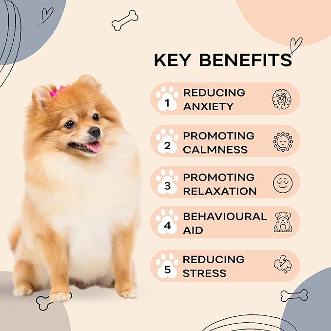 Heartbeat Puppy for Dogs with Blanket, Heat Packs and Chew Toy - Pet Anxiety Relief and Calming Sleep Aid - Perfect Dog Stuffed Animal for Behavioral Crate Training - Dog Toys