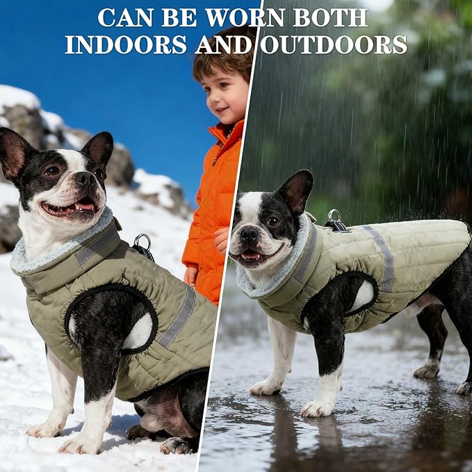 EXPAWLORER Dog Winter Coat Jacket, Thick Warm Waterproof Reflective Puppy Snowsuit With Harness Buit In, Pet Fleece Vest Soft Turtleneck With Zipper Cold Weather For Small Medium Large Dogs - Green, S