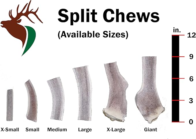 Medium Split Twin Pack (for 20-40 lb Dogs and Puppies) Premium Grade Elk Antlers for Dogs (2 Pieces) Sourced in The USA