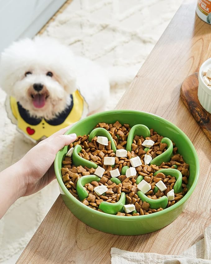 LE TAUCI Dog Bowl Slow Feeder Ceramic, 1.5 Cups Slow Feeding Dog Bowl Small Medium Breed, Puppy Slow Feeder Bow for Fast Eaters, Dog Dishes to Slow Down Eating, Puzzle Dog Food Bowl