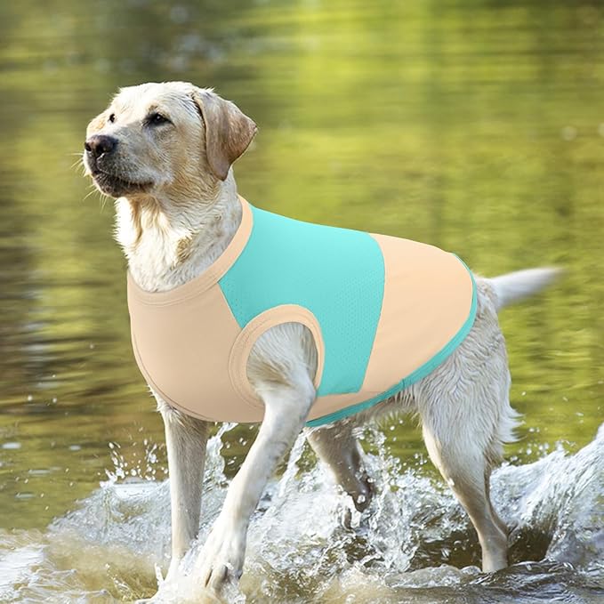 BRKURLEG Summer Dog Cooling Vest Quick Dry Breathable Dogs Cooling Shirts UPF 50+ Sun Protection Dog Shirt Lightweight Pet Shirts for Outdoor Adventures, Walking, Beach, GreenYellow, M