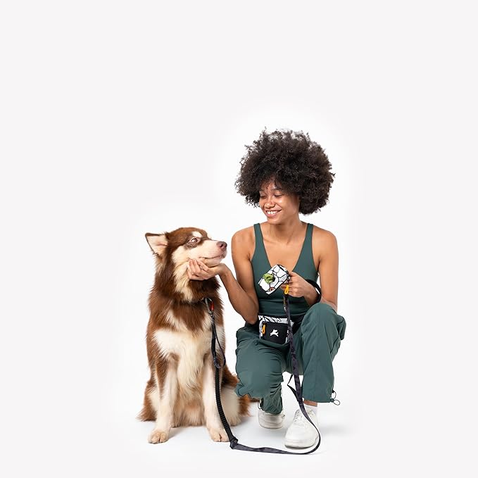 OllyDog Goodie Treat Bag, Dog Treat Pouch, Waist Belt Clip for Hands-Free Training, Magnetic Closure, Dog Training and Behavior Aids, Three Ways to Wear (Magnolia)