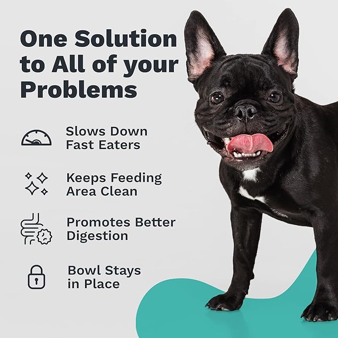 Small Bowl + Stand - 1 Enhanced Pet Bowl (Small) & 1 Small Stand for Enhanced Pet Bowl Flat-Faced Dog Breeds Vet Approved - Non-Slip Slanted with Ridge - Less Mess, Less Gas and Better Digestion