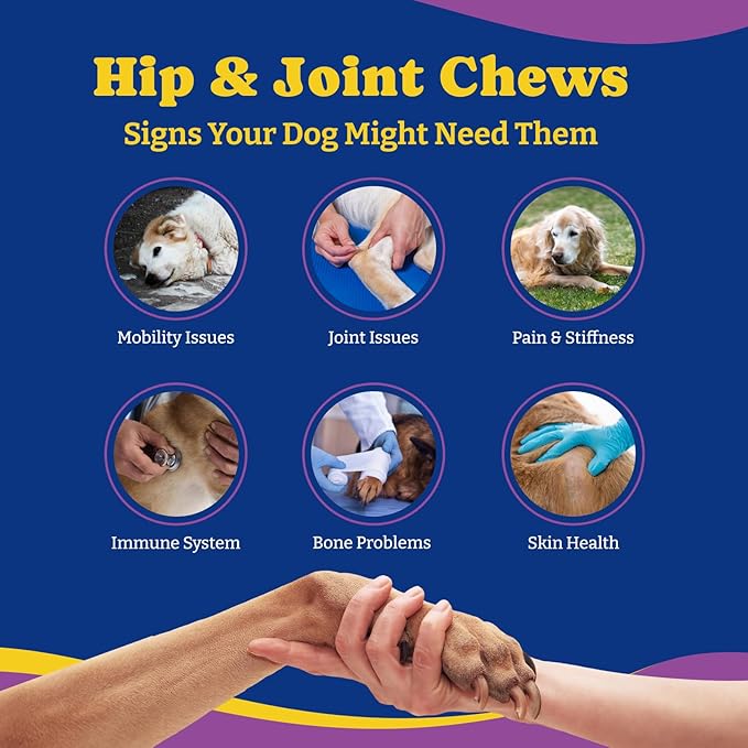 Joint Supplement for Dogs - Glucosamine for Dogs, with Chondroitin, MSM - Dog Pain Relief Anti-Inflammatory, Support Hip & Joint Health, Mobility - 180 Soft Chews, Duck & Pear Flavor