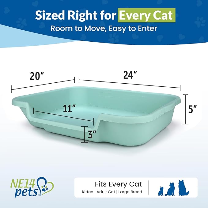 KittyGoHere Senior Cat Litter Box, Large Litter pan, Open Top Low Entrance Kitty Litters Box, Lightweight Low Entry Litter Box, Durable, Made in USA (2 Pack - Apple Green)