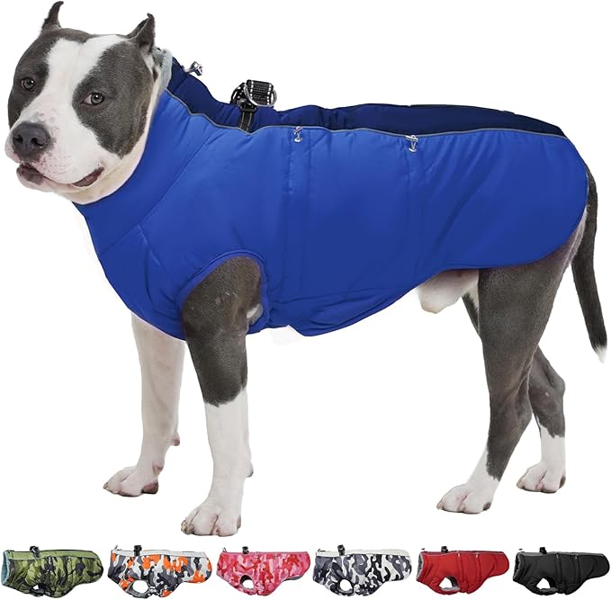 Medium Dog Coat - Warm Zip Up Snowsuit Dog Harness Vest, Reflective, Water-Resistant, Royal-Blue