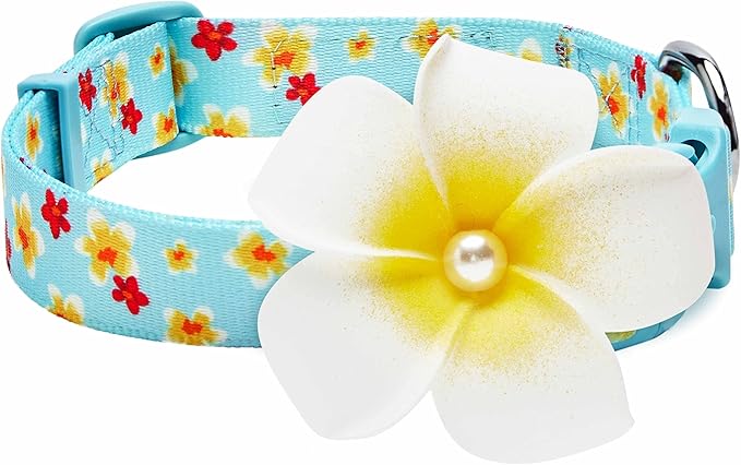 Blueberry Pet Fragrant Plumeria Adjustable Dog Collar with Detachable Accessory, Aqua, Medium, Neck 14.5"-20"