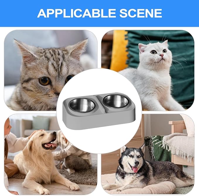 Cat Water and Food Bowl - Kitten Feeding Bowl Set, Slanted Non Slip Pet Feeder, Durable Food and Water Dish | Apartment City Living Home Travel for Apartment City Living Home Travel