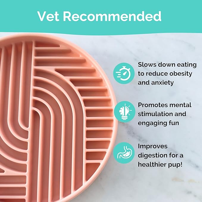 Pink Silicone Slow Feeder Bowl for Dogs, Cats and Pets by Stella and Bear Co.