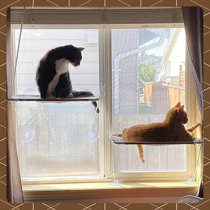 All Around 360° Sunbath and Lower Support Safety Iron Cat Window Perch, Cat Hammock Window Seat for Any Cats (M, Gold)