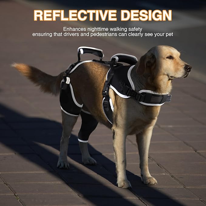 Dog Knee Support for ACL Tear Rehabilitation and Dislocated Patella -Adjustable Leg Support and Sufficient Breathability,Injury Recovery and Balance Assistance-Left Leg-XL Size