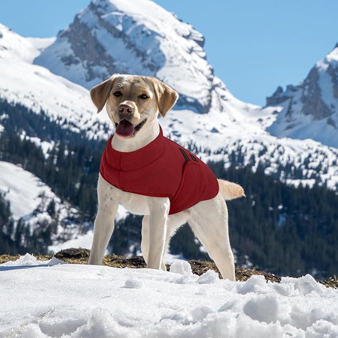 Queenmore Large Dog Sweater, Soft Fleece Vest Pullover Dog Jacket with Leash Hole, Warm Winter Dogs Clothes Cold Weather Doggy Dachshund Sweaters for Large Dogs Cats Boy or Girl (Burgundy, L)