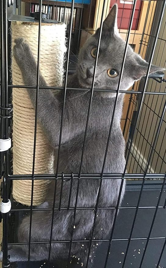 Cat Scratching Post Cage Mounted Cat Scratcher Space-Saving Sisal Scratch Post for Cat Grinding Claws Scratching and Climbing