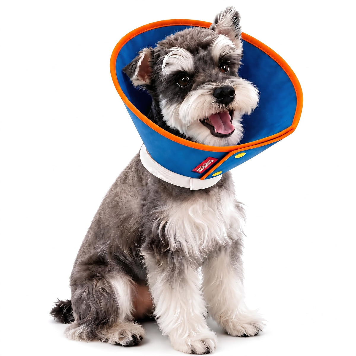 Soft Dog Cone Collar for Dogs & Cats | Pet Essentials - Image 1