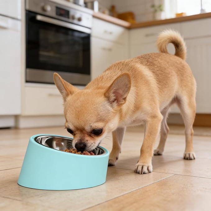 Small Light Blue 15° Slanted Dog Water Bowl - Elevated Raised Pet Dish with Removable Stainless Steel Inner Bowl, Ergonomic Tilt Design for Easy Drinking
