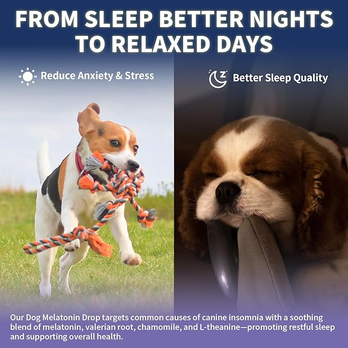 Melatonin for Dogs with L-Theanine & Chamomile | Anxiety Relief & Calming, Relaxation & Sleep Support Liquid Dog Melatonin | Fast-Absorbing & Bacon Flavor (1 PC)