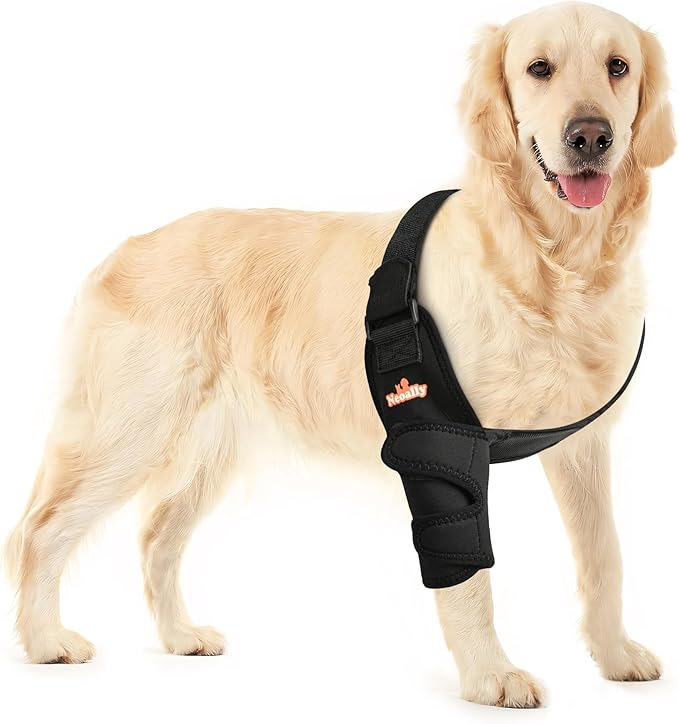 Neoally Breathable Dog Elbow Brace Protector Pads for Canine Elbow and Shoulder Support Elbow Hygroma, Dysplasia, Osteoarthritis, Elbow Calluses, Pressure Sores and Shoulder Dislocation (Right Medium)