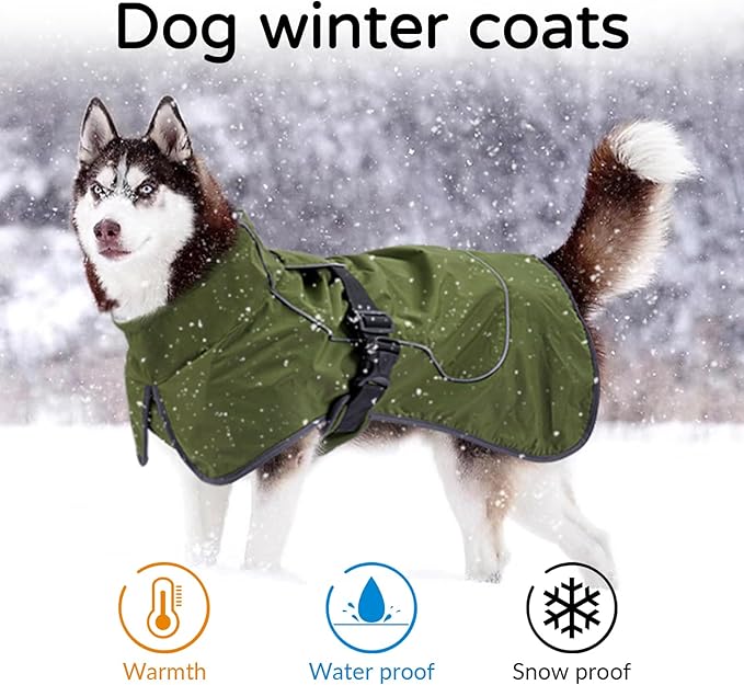Dog Winter Raincoat, Waterproof Warm Jacket with Velvet Lining for Cold Weather, Windproof Insulated Rain Coat with Reflective Strips for Medium Dog (Green, M)