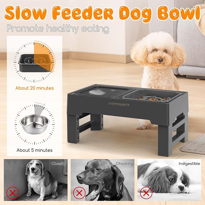 URPOWER 2-in-1 Elevated Slow Feeder Dog Bowls with No Spill Water Bowl & 2 Story Cat Bed for Indoor Cats