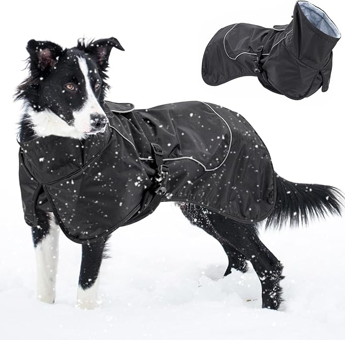 Dog Winter Raincoat, Waterproof Warm Jacket with Velvet Lining for Cold Weather, Windproof Insulated Rain Coat with Reflective Strips for Medium Dog (Black, M)