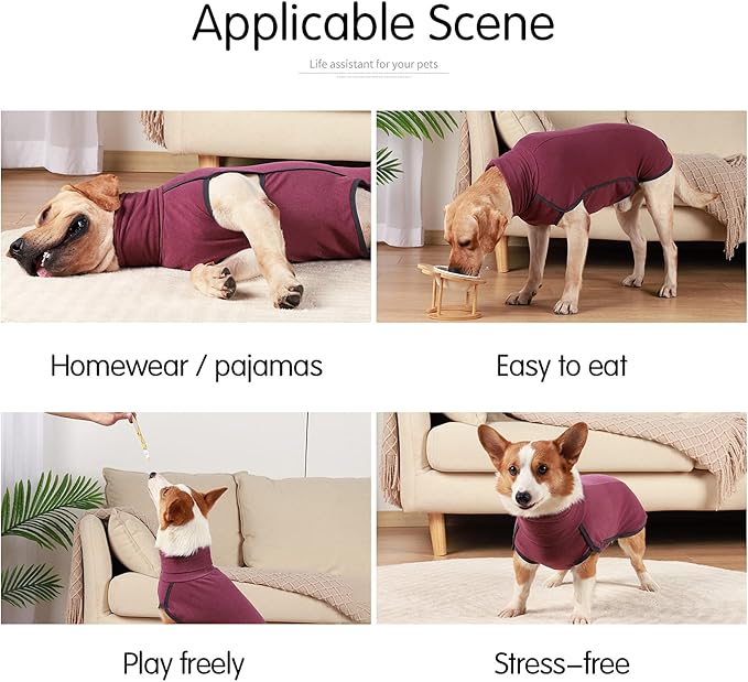 Dog Sweater Pullover Cold Weather Vest for Dogs Dog Sweatshirt & Jacket for Indoor and Outdoor Use (Small, Wine red)