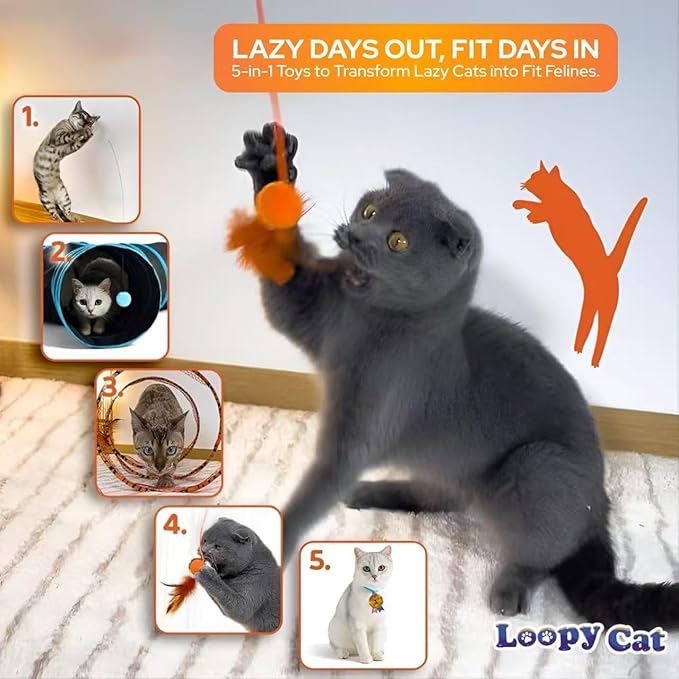 Spiral Cat Toy Set – 5-in-1 Interactive Indoor Cat Toys with 3-Way Tunnel, Feather Wand, Ribbon Teaser & Suction Cup for Active Cats