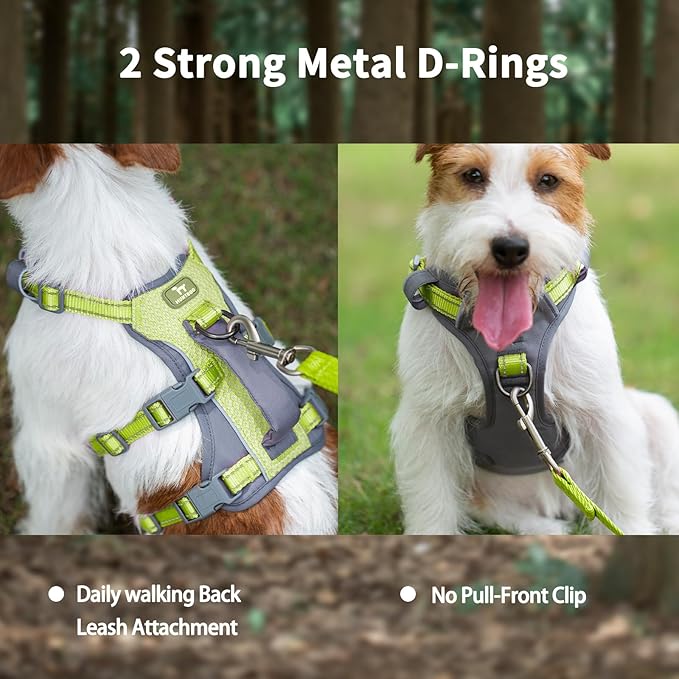 Huntboo Reflective Dog Harness with Handle, Escape Proof, No Slip, Breathable, Lightweight, Adjustable Lift Harness for Small,Medium,and Large Dogs Walking, Training, and Running Gear(Bright Green,XS)
