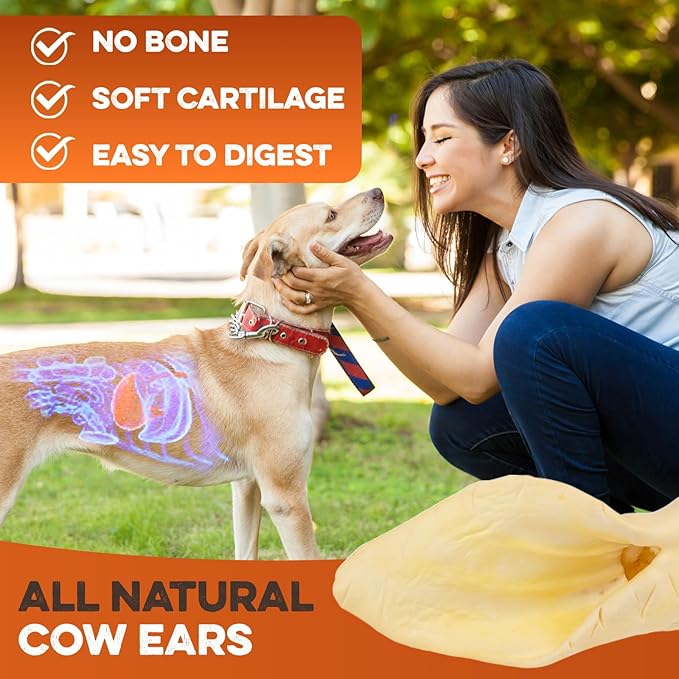 BRUTUS & BARNABY Cow Ears for Dogs – Whole Ears 100 ct, Thick Cut, Grass-Fed Angus Beef, All-Natural No-Rawhide Dog Treat Alternative