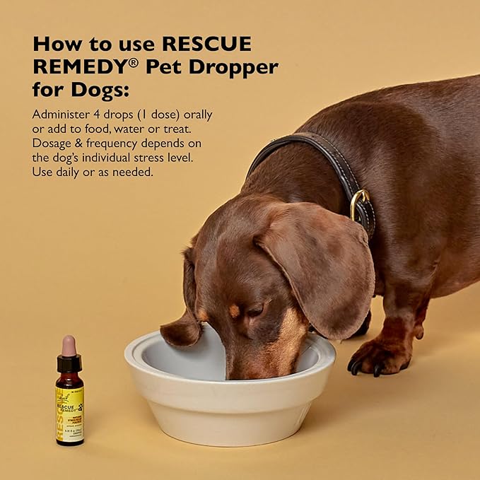 Bach Rescue Remedy Pet Dropper for Dogs - 20 mL - Stress & Tension Support for Dogs Natural Flower Essences - Sedative-Free, Homeopathic Liquid Formula - for All Breeds, Ages & Weights