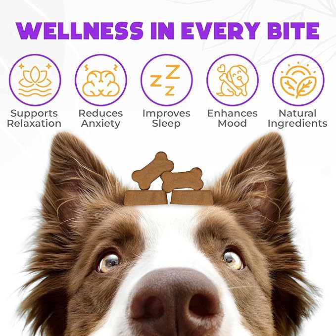 Hemp Calming Chews for Dogs - 150 pcs - for Stress, Travel, Check-ups, Barking, or Grooming - Anxiety Relief with Melatonin - Duck Flavored Calming Treats