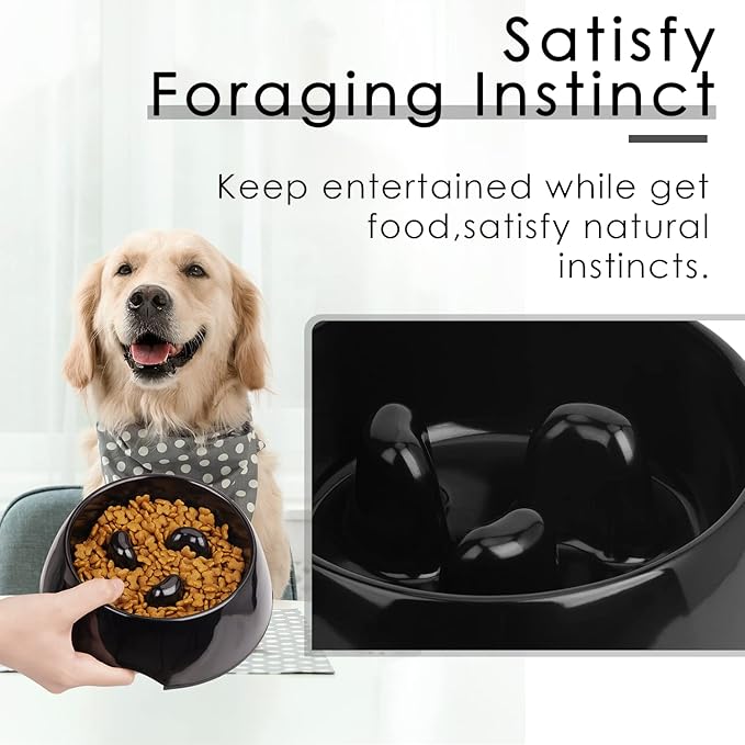 Super Design Slow Feeder Dog Bowl, 1 Cup(Holds Approx. 300ml), Non-Slip, Heat-Resistant, Sturdy, Dishwasher Safe, Suitable for Large Dogs