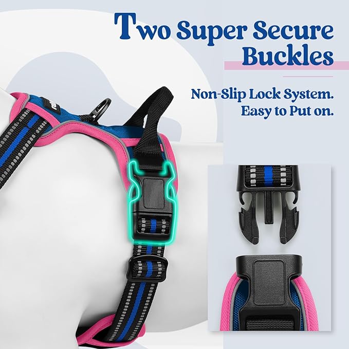 rabbitgoo Dog Harness No Pull with 2 Leash Clips, Adjustable Soft Padded, Reflective Oxford No Choke Pet Vest with Easy Control Handle for Large Dogs, Blue & Hot Pink, M