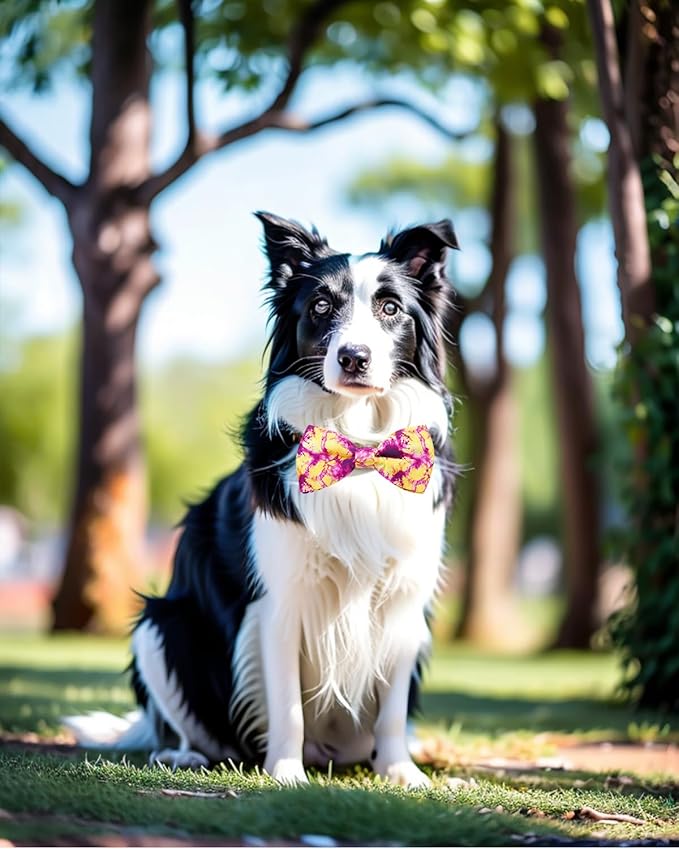PET SHOW 10 Pack Tie Dye Big Dog Bow Ties for Large Medium Dogs Sliding Collar Attachments Floral Bowties Gradient Colors Bowknots Party Holiday Pet Grooming Accessories(Large)