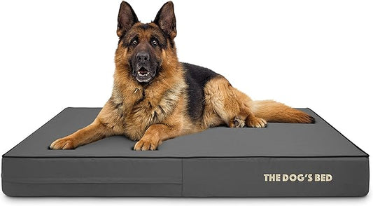 The Dog’s Bed Orthopedic Memory Foam Dog Bed, XL Grey & Black, Waterproof, Supportive Dog Bed with Replaceable Covers