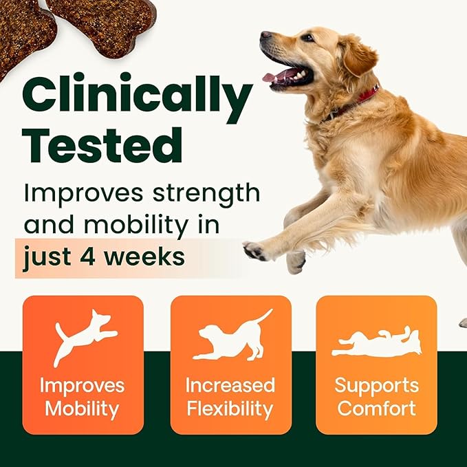 VetriScience Ultimate Strength Healthy Hip & Joint Chews, GlycoFlex Glucosamine, Chondroitin and Green-Lipped Mussel Joint Support Supplement for Dogs, Soothe Joint Discomfort, Duck, 120 Count