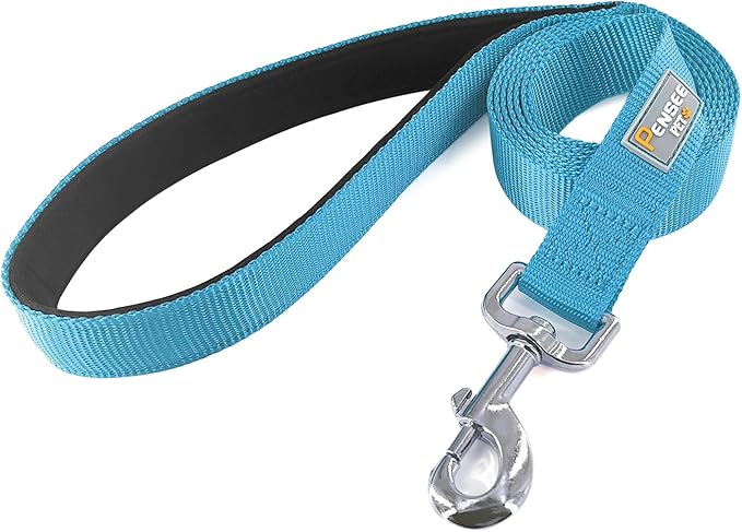 Basic Dog Leashes 6 FT Padded Handle Nylon Dogs Leashes for Small Dogs Light Blue