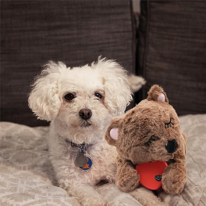 3T GROUP Puppy Heartbeat Toy Sleep Aid Dog Heartbeat Stuffed Animal Bear Toy for Puppy Essentials Anxiety Relief Plush Pillow Calming Aid Comfort Toys for Dogs(Coffee)
