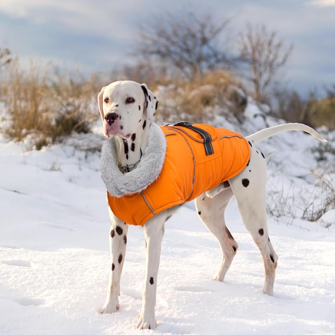 Lelepet Dog Coat Waterproof Dog Jacket Reflective Fleece Vest with Adjustable Buckle & Leash Hole Windproof Cold Weather Coats for Small Medium Large Dogs, Warm Hunting Vest, Orange, M