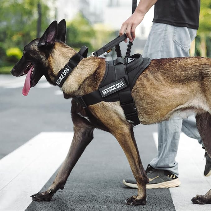EXCELLENT ELITE SPANKER Tactical Dog Vest Training Military Patrol Service Dog Harness Easy Control Adjustable No-Pull Nylon Pet Harness with Handle for Small Medium Large Dogs(MCP-XL)