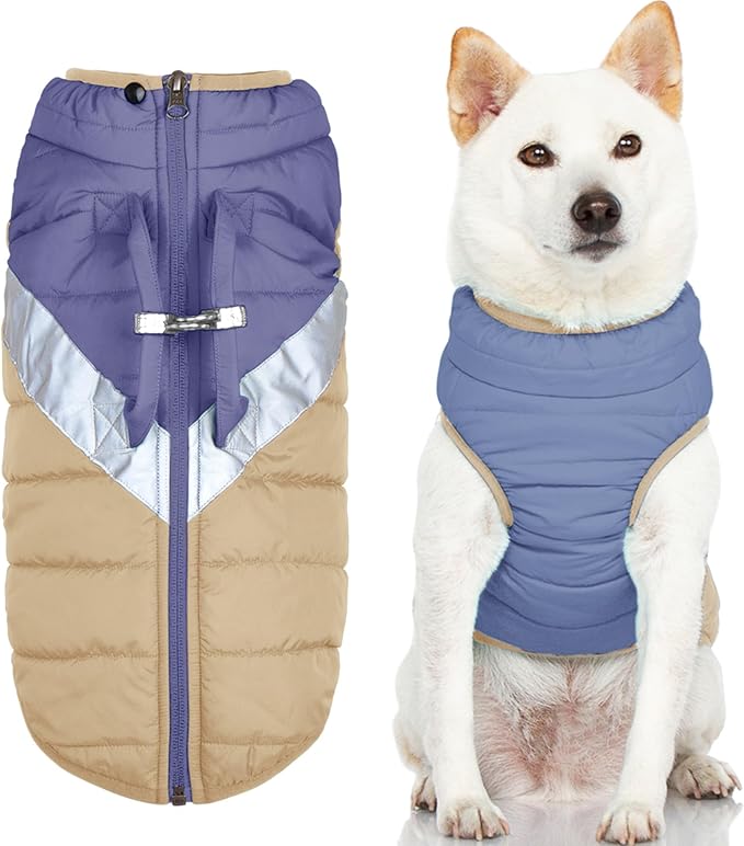 Gooby Mountaineer Dog Jacket - Quantum Blue, Large - Warm Zip Up Coat with Lift Handle and Dual O Ring Leash Water Resistant for Small to Medium Dogs