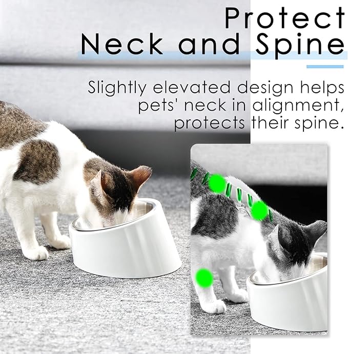SuperDesign Mess Free 15° Slanted Bowl for Dogs and Cats, Tilted Angle Bulldog Bowl Dog Feeder, Non-Skid & Non-Spill, Easier to Reach Food S/0.5 Cup White