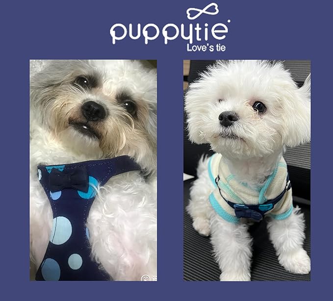 Puppytie No Pull xs Dog Harness with Multifunction Dog Leash,Soft Adjustable No Choke Escape Proof Pet Harness Vest,Polka dots Starry Sky,XS
