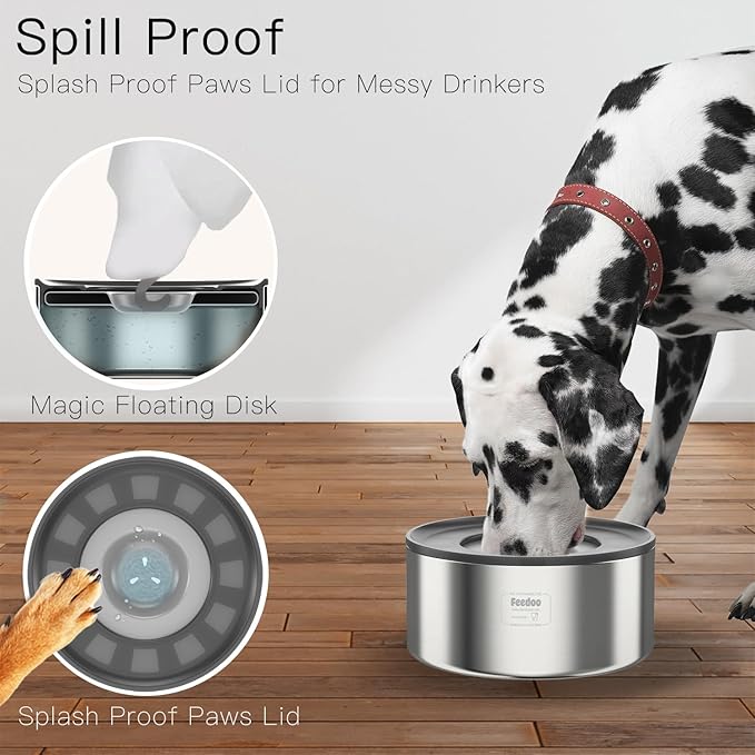 3Cups Slow Feeder + 1Gallon Double Layer No Spill Water Bowl