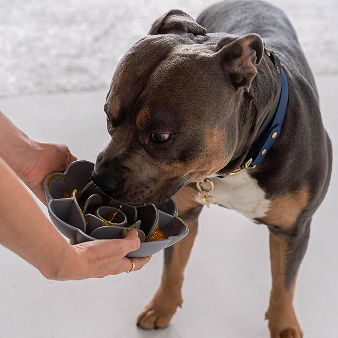 Flower Slow Feeder - Grey - Dog & Pet Mealtime Accessory, Fits Into Most 8" Bowls, Suction Base, Safe & Non-Toxic, Food-Grade Silicone