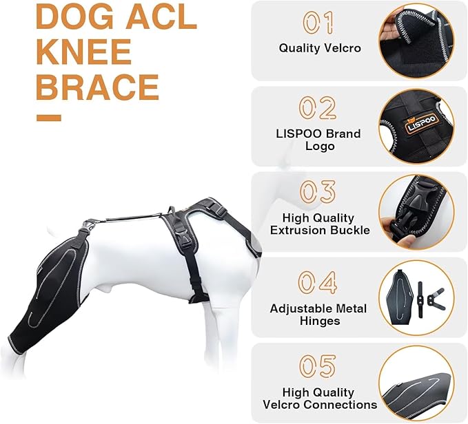 Dog Knee Brace for Torn ACL/CCL Hind Leg,Adjustable Support with Sufficient Wrapping and Support & Luxating Patella,Non-Slip Joint Brace,Pain Relief & Better Recovery-Left Leg/XL