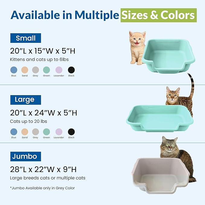 KittyGoHere Senior Cat Litter Box, Small Litter pan, Open Top Low Entrance Kitty Litter Box, Lightweight Low Entry Litters Box, Durable, Made in USA (2 Pack - Apple Green)