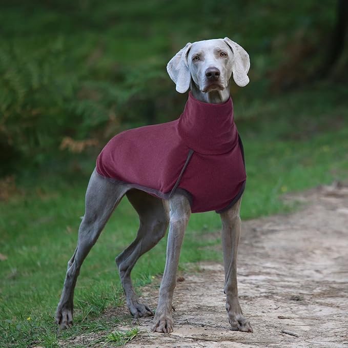 ROZKITCH Dog Pajamas for Small Dogs, Pet Windproof Warm Cold Weather Jacket Vest Cozy Jumpsuit Apparel Outfit Clothes for Walking Hiking Travel Sleep Red XS