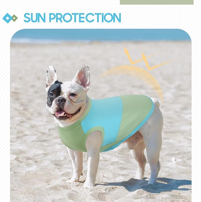 BRKURLEG Dog Cooling Vest, UPF 50+ Sun Protection Dog Cooling Shirts, Breathable Quick Dry Vest for Small to Large Dogs & Cats, Lightweight Summer Pet Clothing for Hiking, Beach, Bluegreen, XL